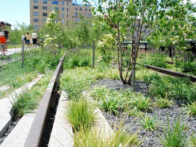 In this image there are few plants and trees on the land having few rocks and grass. Right side...