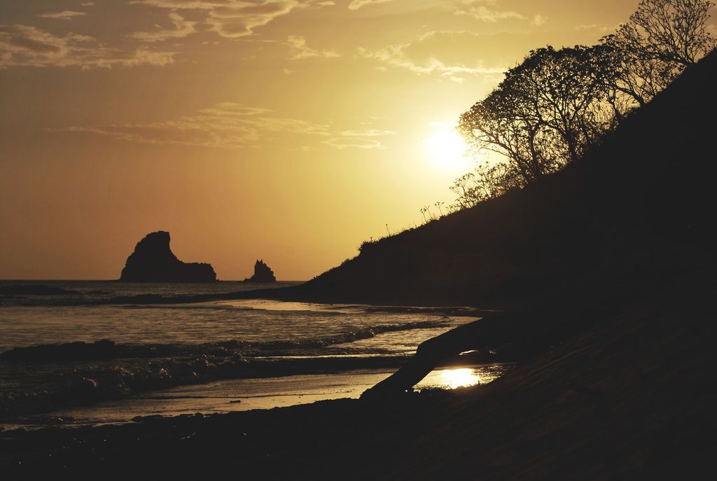 Discover valuable, actionable insights with ease through our user-friendly research tools and...